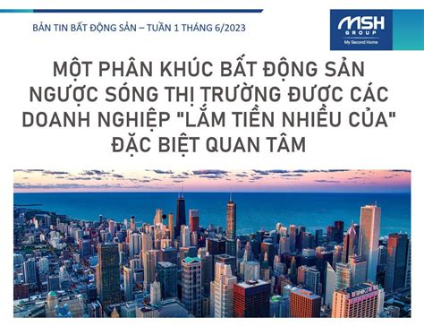  Bát Nhạc Động -  Nơi Thánh Thiện Gặp Rừng Xanh Mướt