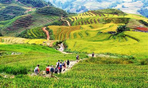 Thung lũng Tử Đồng - Nơi yên bình giữa núi non hùng vĩ và những nét vẽ kỳ bí của thiên nhiên!